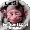 🙉🙊Lunes con Monos🙈🐵 16