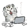 Random Cat Meme V1 16