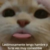 Michis Para Contestar 🐈‍⬛ 7