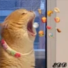 2🐈Meowcitos 🐱 22