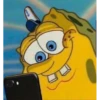 BOB 19