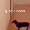 💥PAL GRUPO💥💬 10