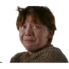 Harry Potter 18