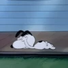 ♥️ Snoopy enojado 😡 14