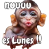 🙉🙊Lunes con Monos🙈🐵 17