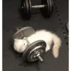 Gym 💪 12