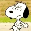 Memes do Snoopy 18