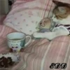 🐈Meowcitos 🐱 22