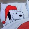 ♥️ Snoopy enojado 😡 15