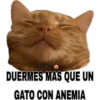 MEMESILLOS 5 CLASICA 19