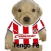 Pinches chivas 15