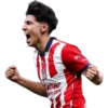 Pinches chivas 16