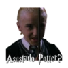Harry Potter 20