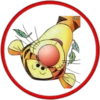 Tiger Winnie Pooh ✺1🇻🇪 24