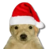 Memes Navideños #2 🎄 14