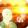 •MLP• @mamadgoorbai 23