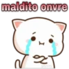 😸Mochi cat Amor❤️ 19