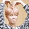 k-pop 15