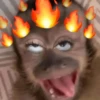 🐒🙊🌴 Monos 🌴🙊🐒 20