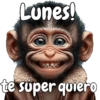 🙉🙊Lunes con Monos🙈🐵 19