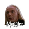 Harry Potter 23