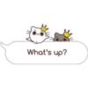 What's up?