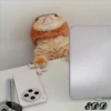 2🐈Meowcitos 🐱 28