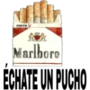 FOFITO Marlboro ECHATE UN PUCHO