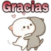 😸Mochi cat Amor❤️ 20