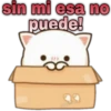 😸Mochi cat Amor❤️ 21