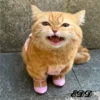 🐈Meowcitos 🐱 27