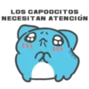 BugCat Capoo 💙 Gordinflón Triste 1 17