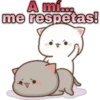 😸Mochi cat Amor❤️ 22