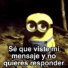 🌳🤓MINION en el bosque 🤓🌳 22