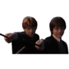 Harry Potter 24