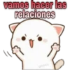 😸Mochi cat Amor❤️ 24