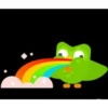 duolingo pack 2 10