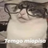 Michis Para Contestar 🐈‍⬛ 13