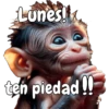 🙉🙊Lunes con Monos🙈🐵 20
