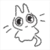 meownz 24