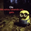 🌳🤓MINION en el bosque 🤓🌳 24