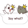 Say what?
