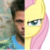 •MLP• @mamadgoorbai 28