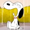 Memes do Snoopy 25
