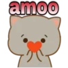 😸Mochi cat Amor❤️ 27