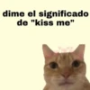 Michis Para Contestar 🐈‍⬛ 15