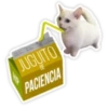 Animals + 11