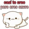😸Mochi cat Amor❤️ 28