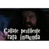 Harry Potter 28