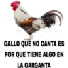 MEMESILLOS 5 CLASICA 28